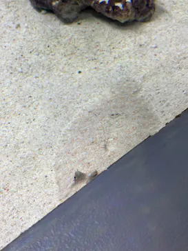 マクセル アクアパーク品川に投稿された画像（2023/9/15）