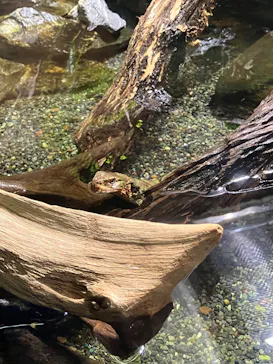 マクセル アクアパーク品川に投稿された画像（2023/9/15）