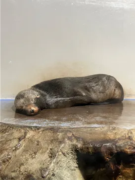 マクセル アクアパーク品川に投稿された画像（2023/9/15）