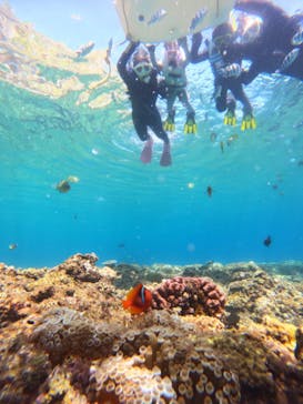 青の洞窟専門店　沖縄ダイビングショップ和に投稿された画像（2023/8/22）