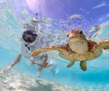 宮古島マリン GB QUESTに投稿された画像（2023/9/15）