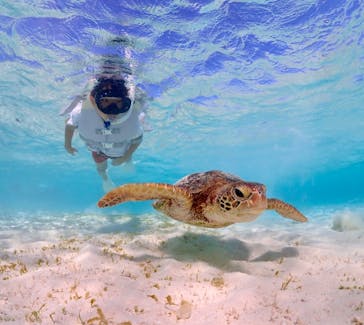 宮古島マリン GB QUESTに投稿された画像（2023/9/15）