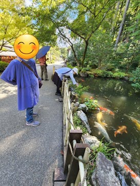 加賀 伝統工芸村　ゆのくにの森に投稿された画像（2023/9/15）