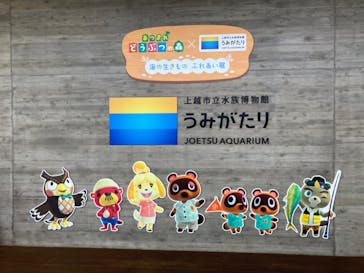 上越市立水族博物館 うみがたりに投稿された画像（2023/9/15）