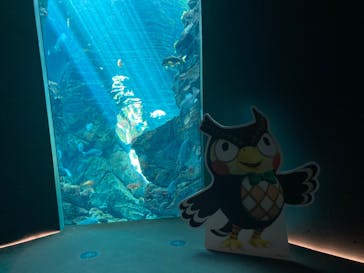 上越市立水族博物館 うみがたりに投稿された画像（2023/9/15）