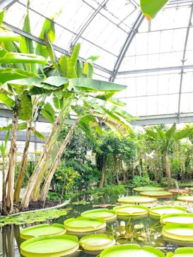 熱川バナナワニ園に投稿された画像（2023/9/15）