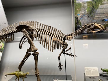 福井県立恐竜博物館に投稿された画像（2023/9/15）