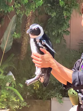 マクセル アクアパーク品川に投稿された画像（2023/9/16）