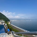 大分マリーンパレス水族館 「うみたまご」に投稿された画像（2023/9/16）