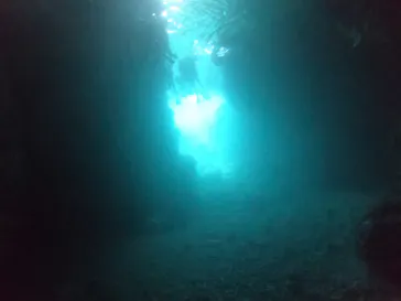 武藤潜水に投稿された画像（2023/9/16）