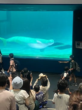 鴨川シーワールドに投稿された画像（2023/9/16）