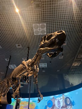 国立科学博物館に投稿された画像（2023/9/16）