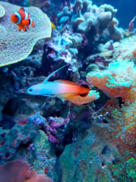 鴨川シーワールドに投稿された画像（2023/9/16）