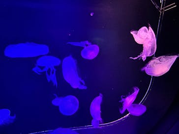 マリンワールド海の中道に投稿された画像（2023/9/16）