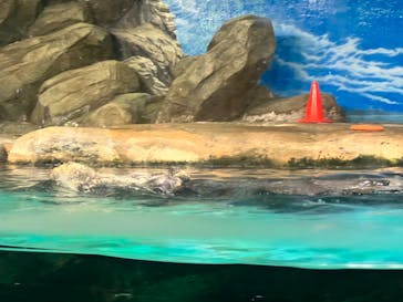 マリンワールド海の中道に投稿された画像（2023/9/16）