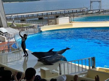 マリンワールド海の中道に投稿された画像（2023/9/16）