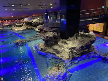 すみだ水族館に投稿された画像（2023/9/16）