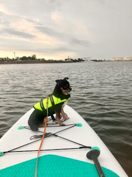 ちばみなとサップヨガに投稿された画像（2023/9/16）