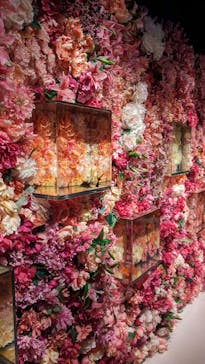 NARA KINGYO MUSEUMに投稿された画像（2023/9/16）