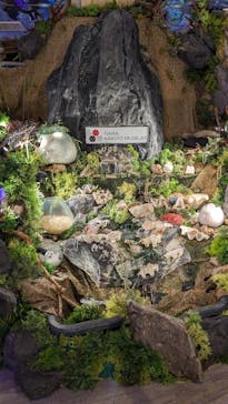 NARA KINGYO MUSEUMに投稿された画像（2023/9/16）