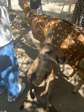 神戸どうぶつ王国に投稿された画像（2023/9/16）