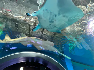 マクセル アクアパーク品川に投稿された画像（2023/9/16）