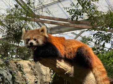 神戸どうぶつ王国に投稿された画像（2023/9/16）