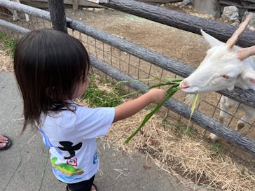 群馬サファリパークに投稿された画像（2023/9/16）