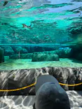 天王寺動物園に投稿された画像（2023/9/16）
