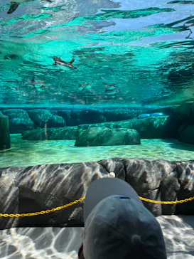 天王寺動物園に投稿された画像（2023/9/16）