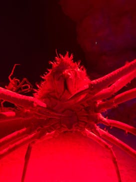 伊豆・三津シーパラダイスに投稿された画像（2023/9/16）