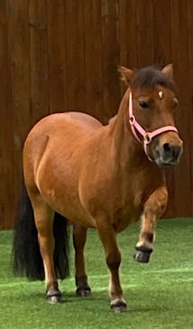 ノーザンホースパークに投稿された画像（2023/9/16）