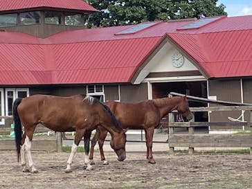 ノーザンホースパークに投稿された画像（2023/9/16）