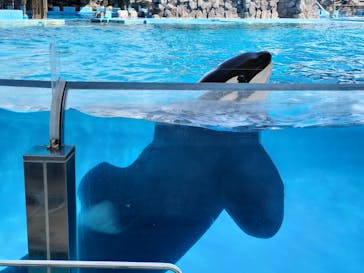 名古屋港水族館に投稿された画像（2023/9/16）