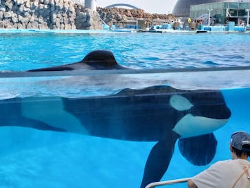 名古屋港水族館に投稿された画像（2023/9/16）