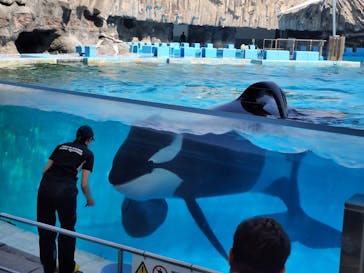 名古屋港水族館に投稿された画像（2023/9/16）