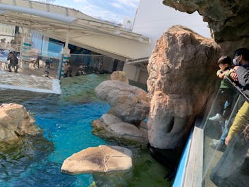 京都水族館に投稿された画像（2023/9/16）