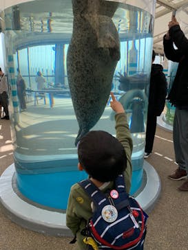京都水族館に投稿された画像（2023/9/16）