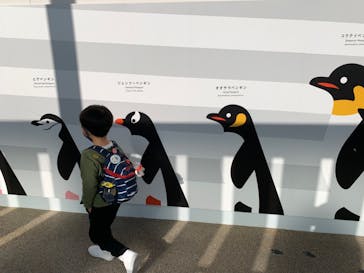 京都水族館に投稿された画像（2023/9/16）