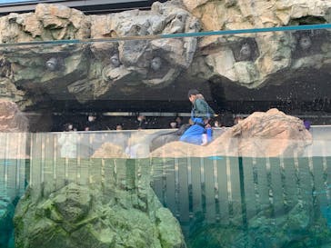 京都水族館に投稿された画像（2023/9/16）
