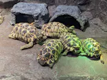 サンシャイン水族館に投稿された画像（2023/9/16）