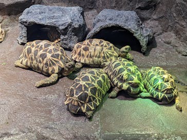 サンシャイン水族館に投稿された画像（2023/9/16）