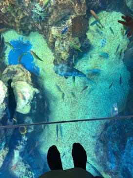 越前松島水族館に投稿された画像（2023/9/16）