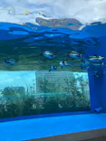 サンシャイン水族館に投稿された画像（2023/9/16）