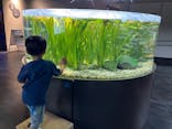 カワスイ 川崎⽔族館に投稿された画像（2023/9/16）