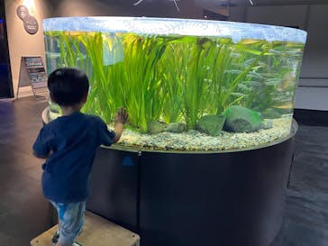 カワスイ 川崎⽔族館に投稿された画像（2023/9/16）