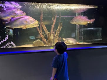 カワスイ 川崎⽔族館に投稿された画像（2023/9/16）