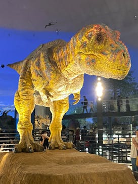 福井県立恐竜博物館に投稿された画像（2023/9/16）