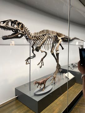 福井県立恐竜博物館に投稿された画像（2023/9/16）