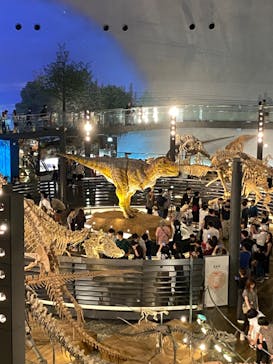 福井県立恐竜博物館に投稿された画像（2023/9/16）